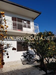 ALE WITH TWO APARTMENTS IN OREBIC PELJESAC