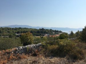 Land for sale on Island Korcula