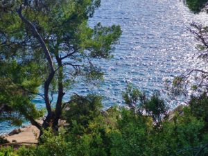 Beautiful seafront house for sale on the Croatian island of Korcula