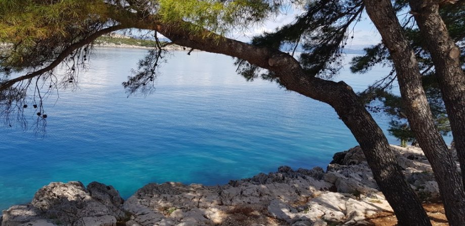 Croatia Hvar island seafront land for sale