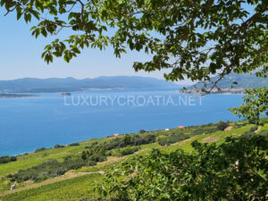 Croatia Orebic beachfront home for sale