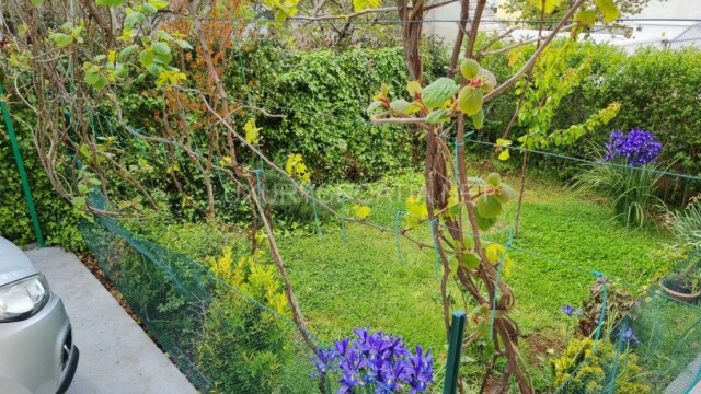 Town house with 4 apartments for sale Zadar Croatia