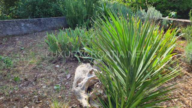 Seafront house for sale in Korcula Croatia